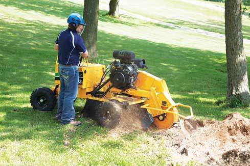 stump grinding